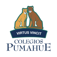 Colegio pumahue